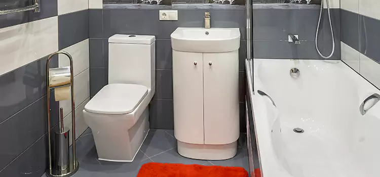 Hansgrohe Shaving Mirror Dubuque